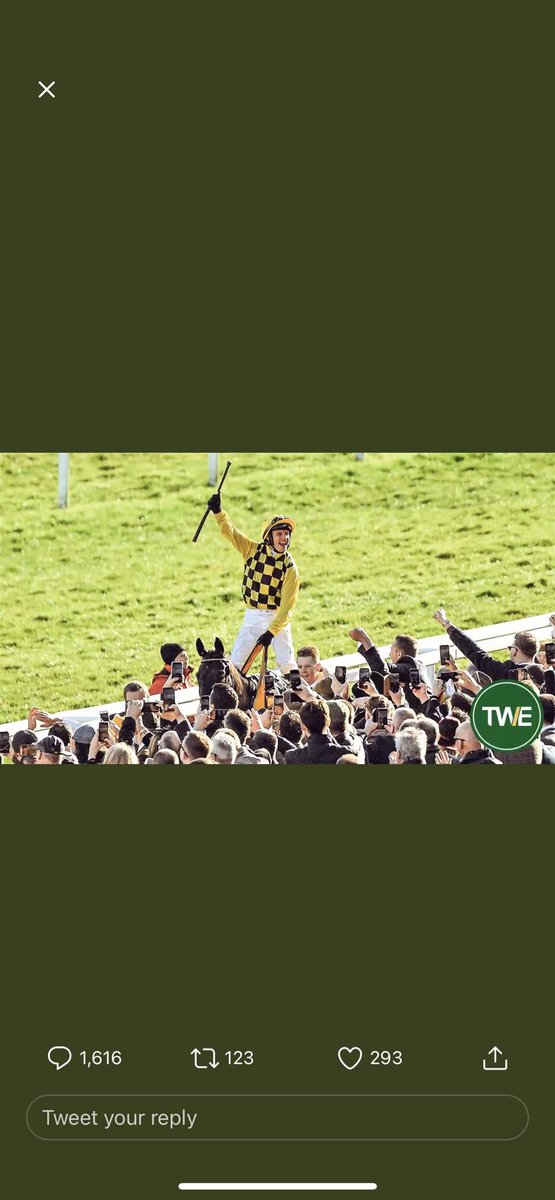 jakelakeee_'s tweet photo. @TWEnclosure https://t.co/xvbYFMTbLa