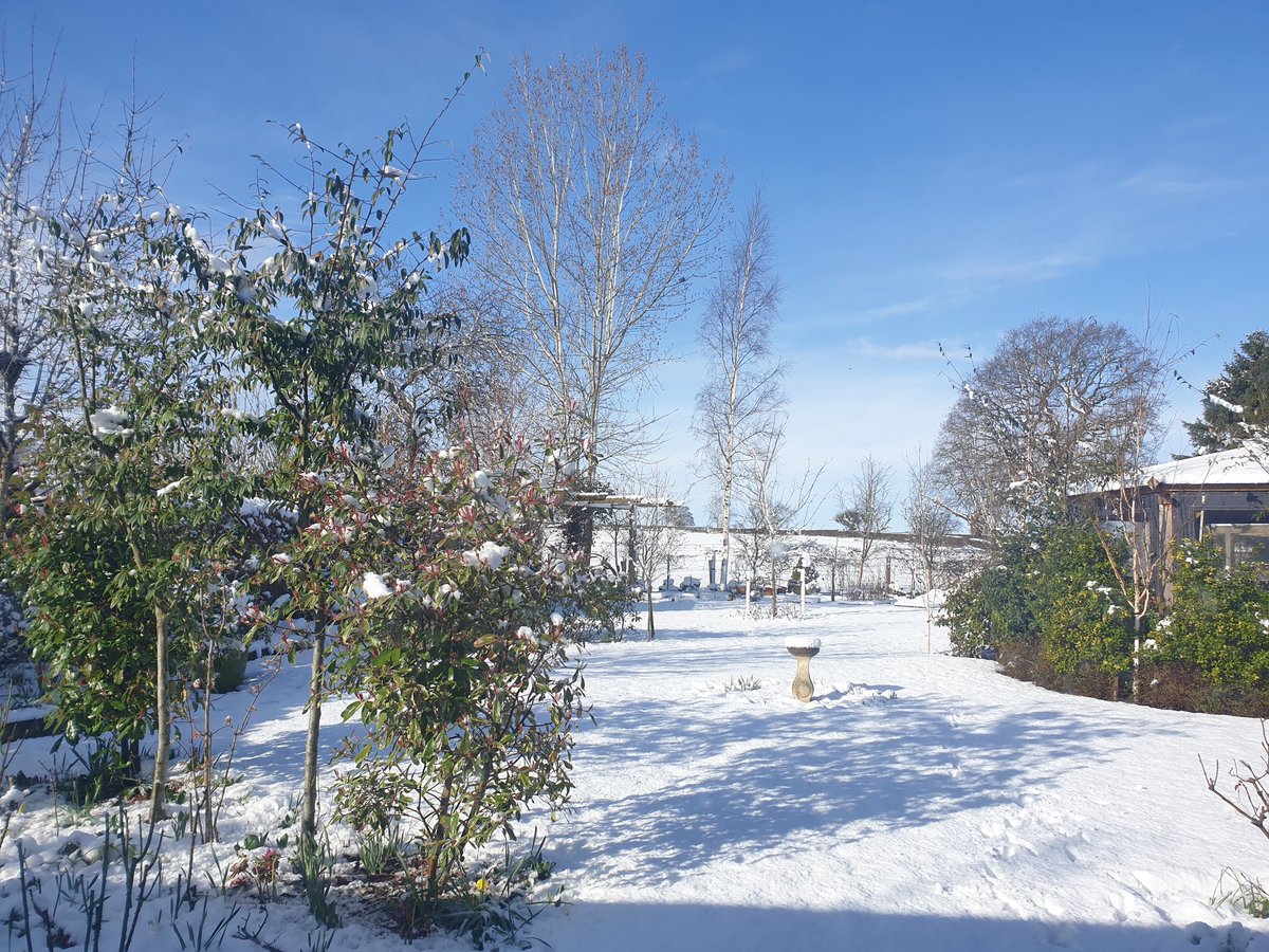 Finally the snow has caught up with us!
@alastairelliot7