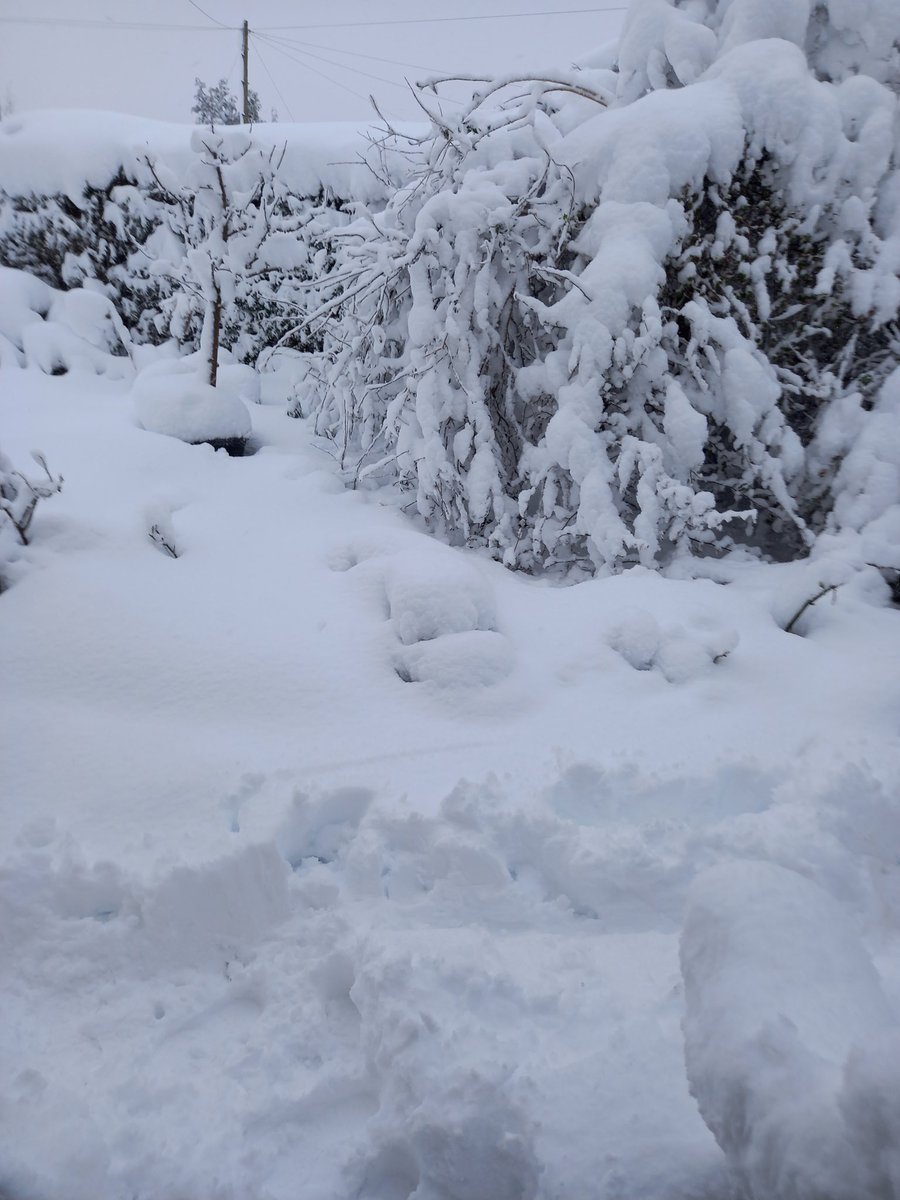 jbsartdesign's tweet photo. winter #onedayatatime https://t.co/jkT6SqwKfe