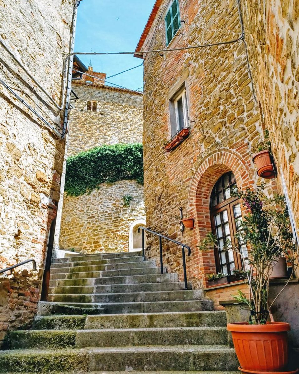 panicaleinfopoint tweet media