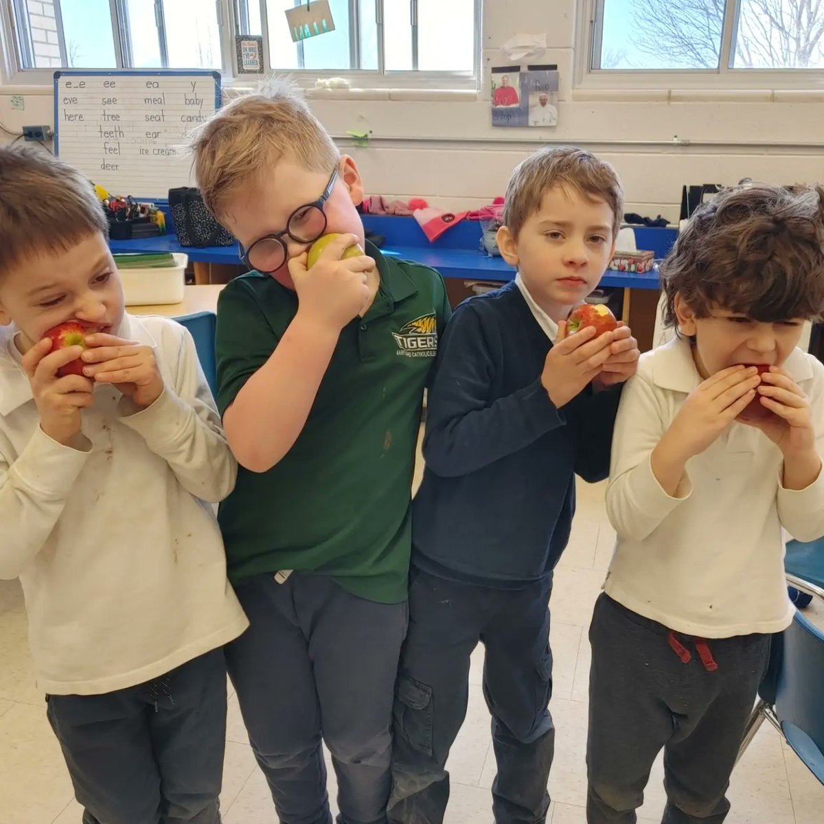 FeraBunch's tweet photo. The big crunch @MaryWardNF https://t.co/AXHBkcmz6W