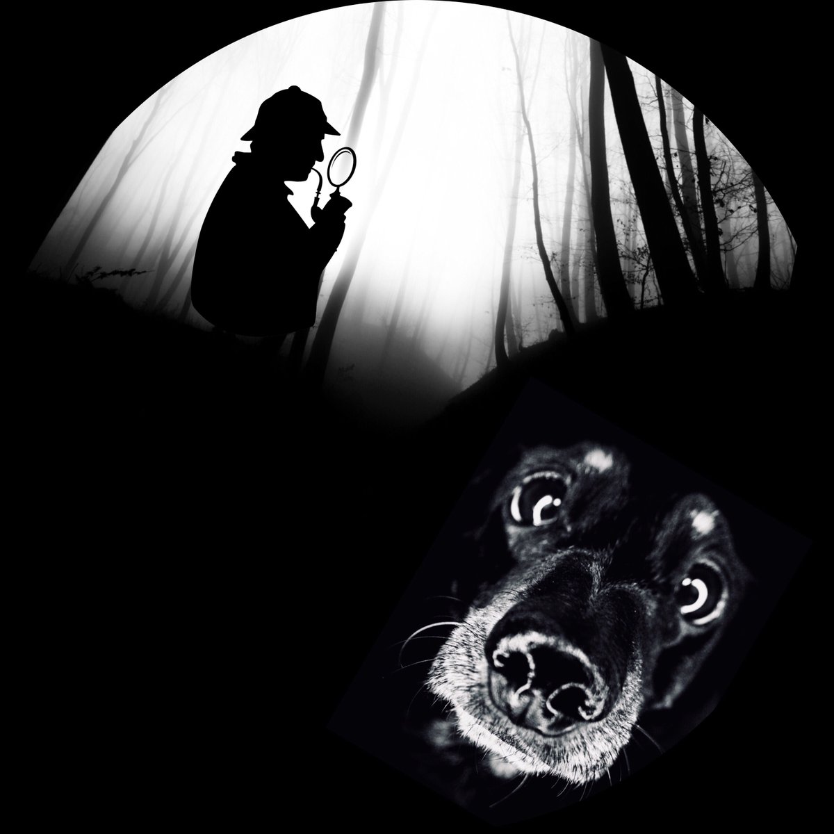 Carriageworks Theatre (@carriageworks_) on Twitter photo A full-length adaptation of Conan Doyle's detective novel. As Watson investigates the curse of a supernatural beast out on the moors, Holmes confronts demons of his own back in London.
Wed 22 - Sat 25 Mar
bit.ly/3KwLuxJ
<a href="/Cosplayersleeds/">Cos Players</a>
#CommunityArts #Theatre #Leeds A full-length adaptation of Conan Doyle's detective novel. As Watson investigates the curse of a supernatural beast out on the moors, Holmes confronts demons of his own back in London.
Wed 22 - Sat 25 Mar
bit.ly/3KwLuxJ
<a href="/Cosplayersleeds/">Cos Players</a>
#CommunityArts #Theatre #Leeds