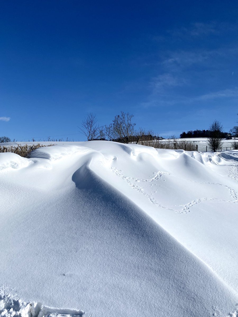 Todays view! ❄️

#snow