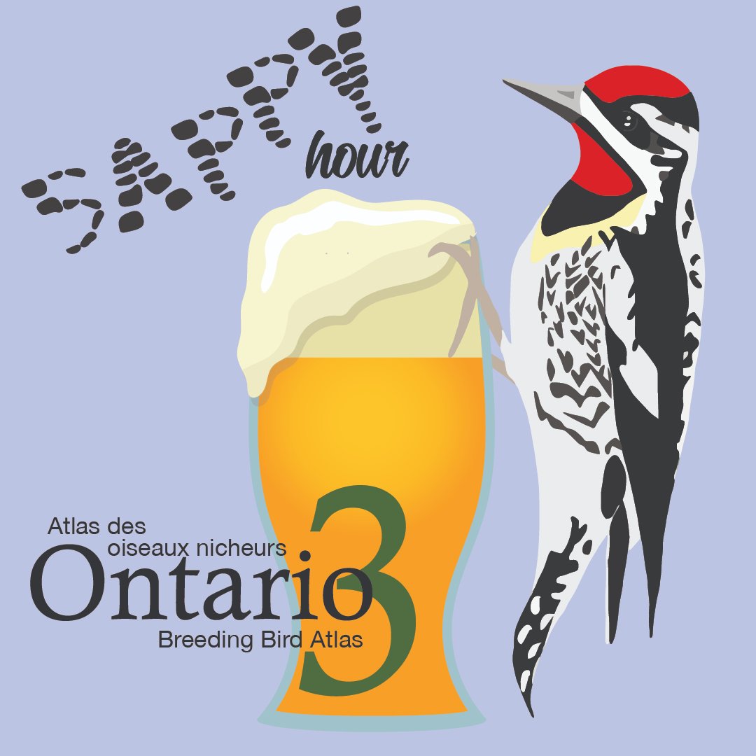 To help celebrate the start of owl Atlassing season, we’re dedicating an entire Sappy Hour to the topic. Sappy Hour: Owl surveys will take place March 14th at 7pm (Eastern Time), on Zoom webinar (register here: tinyurl.com/mu5s8dkz).