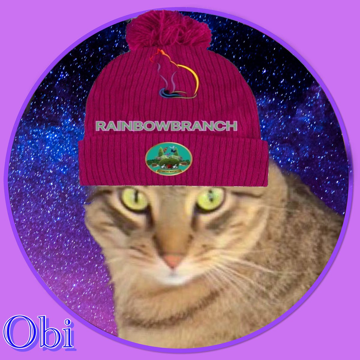 🌈Calling all #Hegewatch -ers! 💖Please welcome Obi @pamalamiam to  the Rainbow Branch of TeamHedgewatch.
Obi is watching Heavenly Hedges now at the Rainbow allotments together 
with all our #OTRB friends.