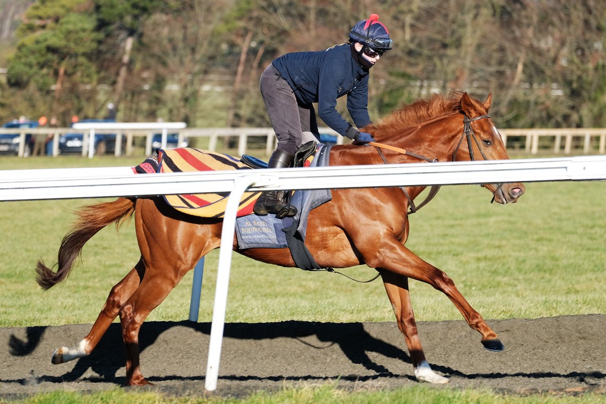 SimcockRacing's tweet photo. RESTRICT ⭐️WINS⭐️(3yo c Collected USA - Short Squeeze USA) the 6f Maiden Stakes @WolvesRaces under @Hayleyturner123 for SAEED BIN MOHAMMED AL QASSIMI & @SimcockRacing #AlBasti #AlBastiEquiworldDubai https://t.co/PFBDStOfHX