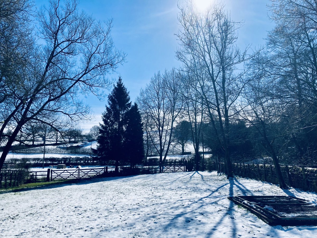 This morning as opposed to this afternoon #snow