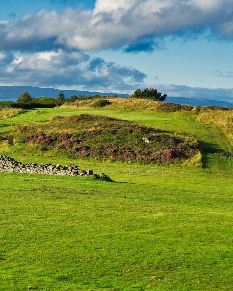 Florian Pichler tweet media