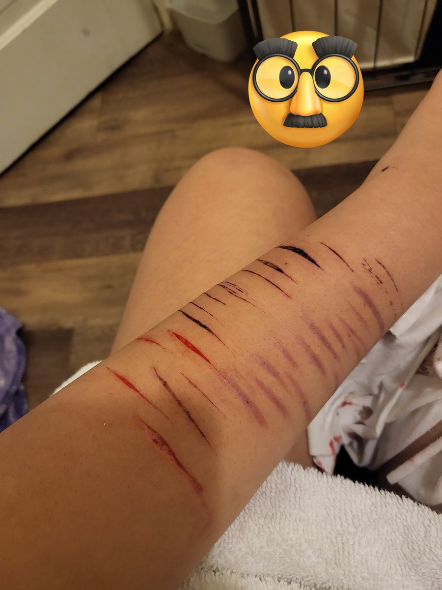 oxn_xi's tweet photo. LOOK AT MY CAT 🐈 https://t.co/TvIhcmc4pR