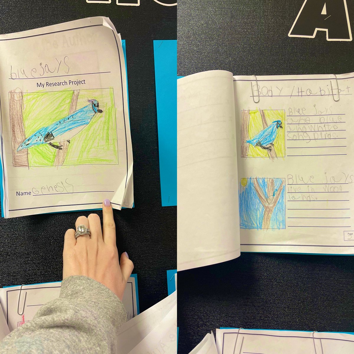 Jameson Caten (@catenjameson) on Twitter photo Kinder-2nd grade have been working so hard on the research projects!! <a href="/AudeliaCreek/">Audelia Creek Elementary</a> <a href="/sharon_erickson/">Sharon Erickson</a> #risdbelieves #RISD_SOAR <a href="/mooretolearn/">Laura Moore</a> #RISDLitandInt Kinder-2nd grade have been working so hard on the research projects!! <a href="/AudeliaCreek/">Audelia Creek Elementary</a> <a href="/sharon_erickson/">Sharon Erickson</a> #risdbelieves #RISD_SOAR <a href="/mooretolearn/">Laura Moore</a> #RISDLitandInt