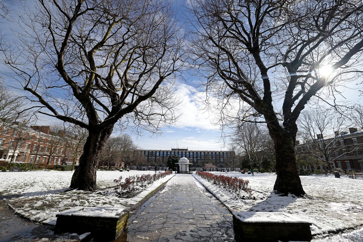 University of Liverpool tweet media