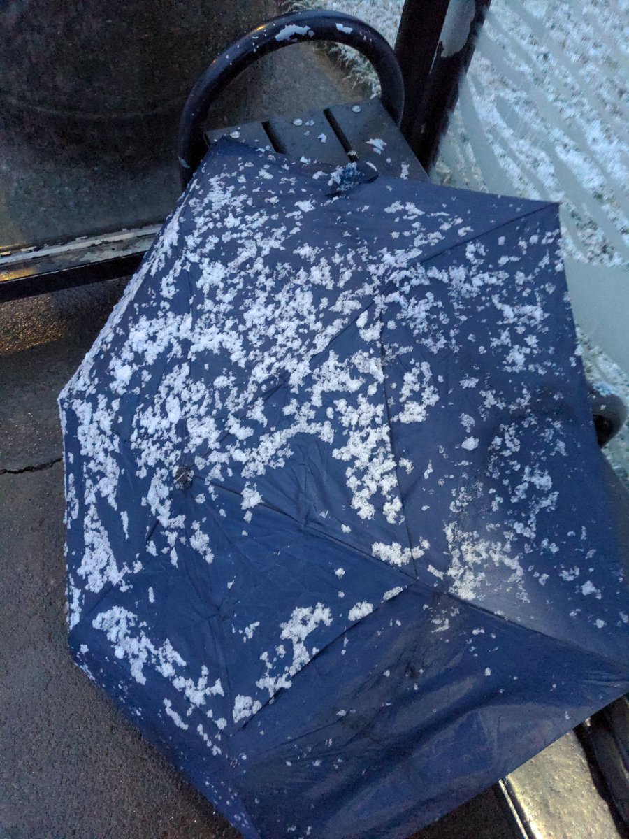 StallerAlex's tweet image. Not how I imagined my morning starting. #pdxtst