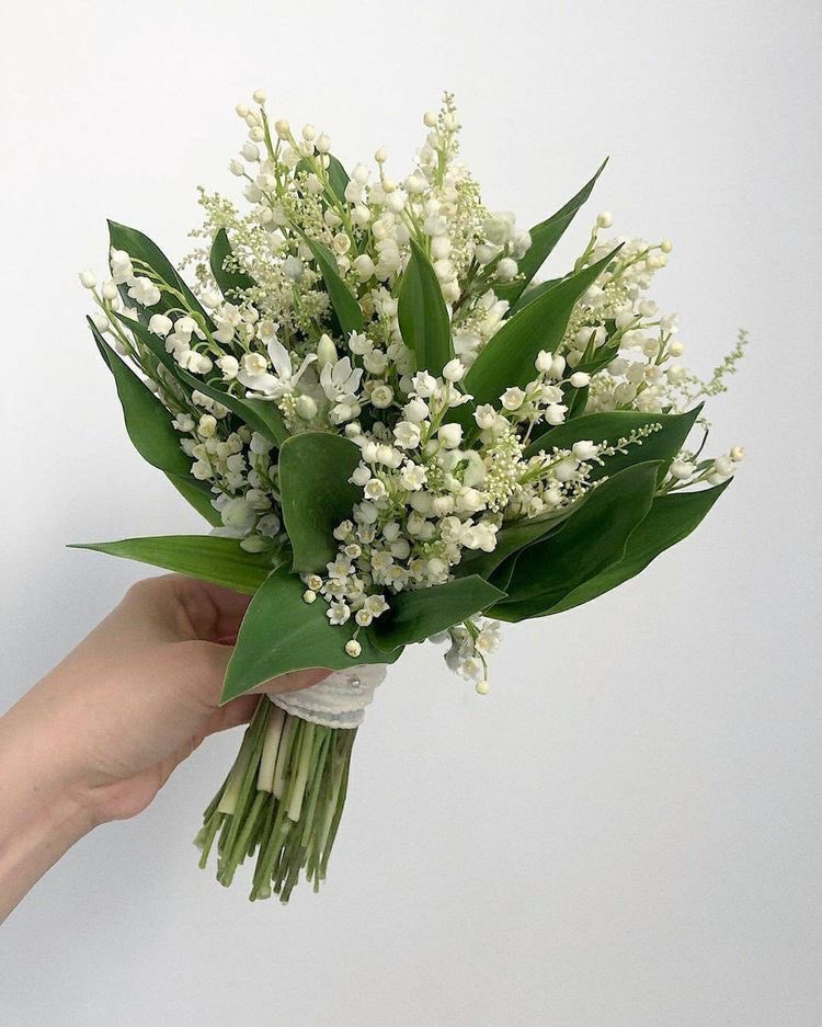 itmydefinition's tweet photo. ลิลลี่แห่งหุบเขา (น.)
หรือ Lily of the Valley ให้ความหมายถึงการเกิดใหม่ การเริ่มบทใหม่ของชีวิต ก็คือแพสชั่นและความสุขที่หวนคืนกลับมา หรือเป็นคำพูดถึงคนคนนึงว่า ‘เธอจะได้ค้นพบความสุข, ความอ่อนหวานที่ตามหา’ หรือ ‘เธอคือคนที่เติมเต็มมันให้กับฉัน’ https://t.co/g3mhAugprA