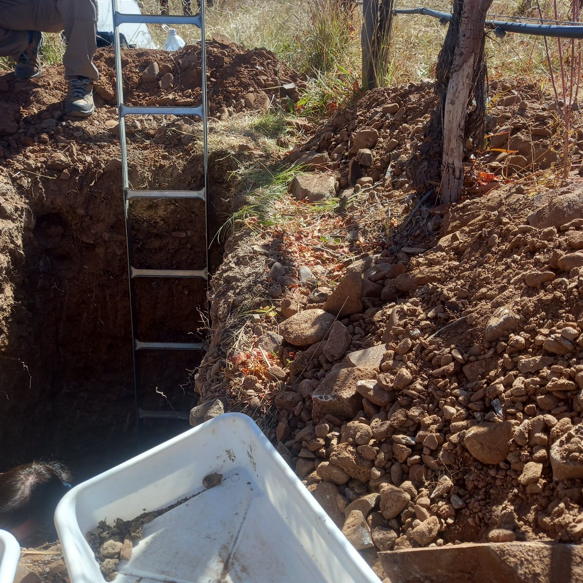 RaulCaceresDiaz's tweet photo. #pit in #vineyards 3000 meters above the sea in #Cachi #Salta #Argentina #INTASalta #soilmap https://t.co/Uxm092A6sw