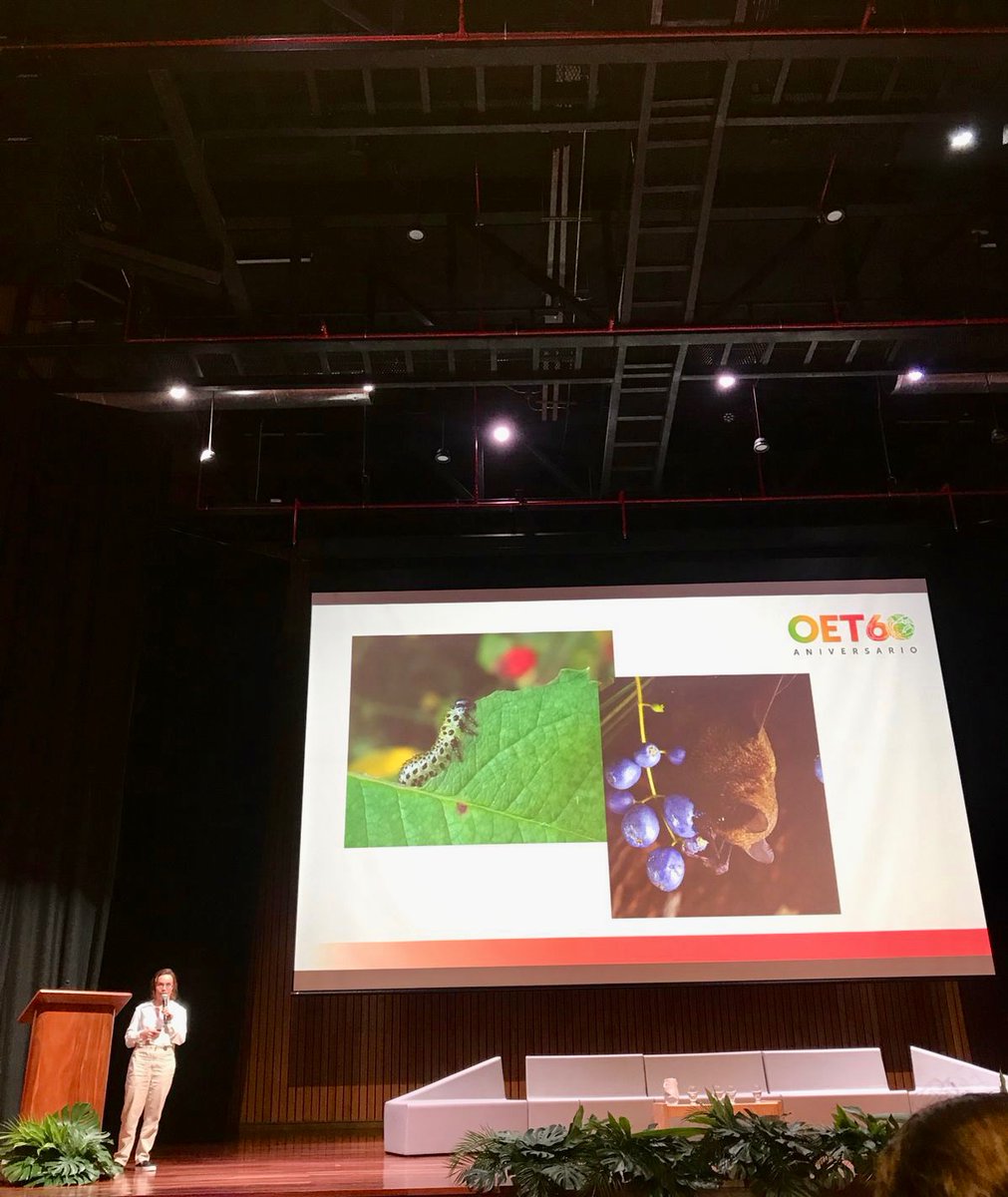 Un honor haber presentado mi investigación sobre la química ecológica de la dispersión de semillas👩‍🔬🦇en el 60 aniversario de <a href="/tropicalstudies/">Tropical Studies</a> 🎉🥂🇨🇷

Gracias OET por todo el apoyo!