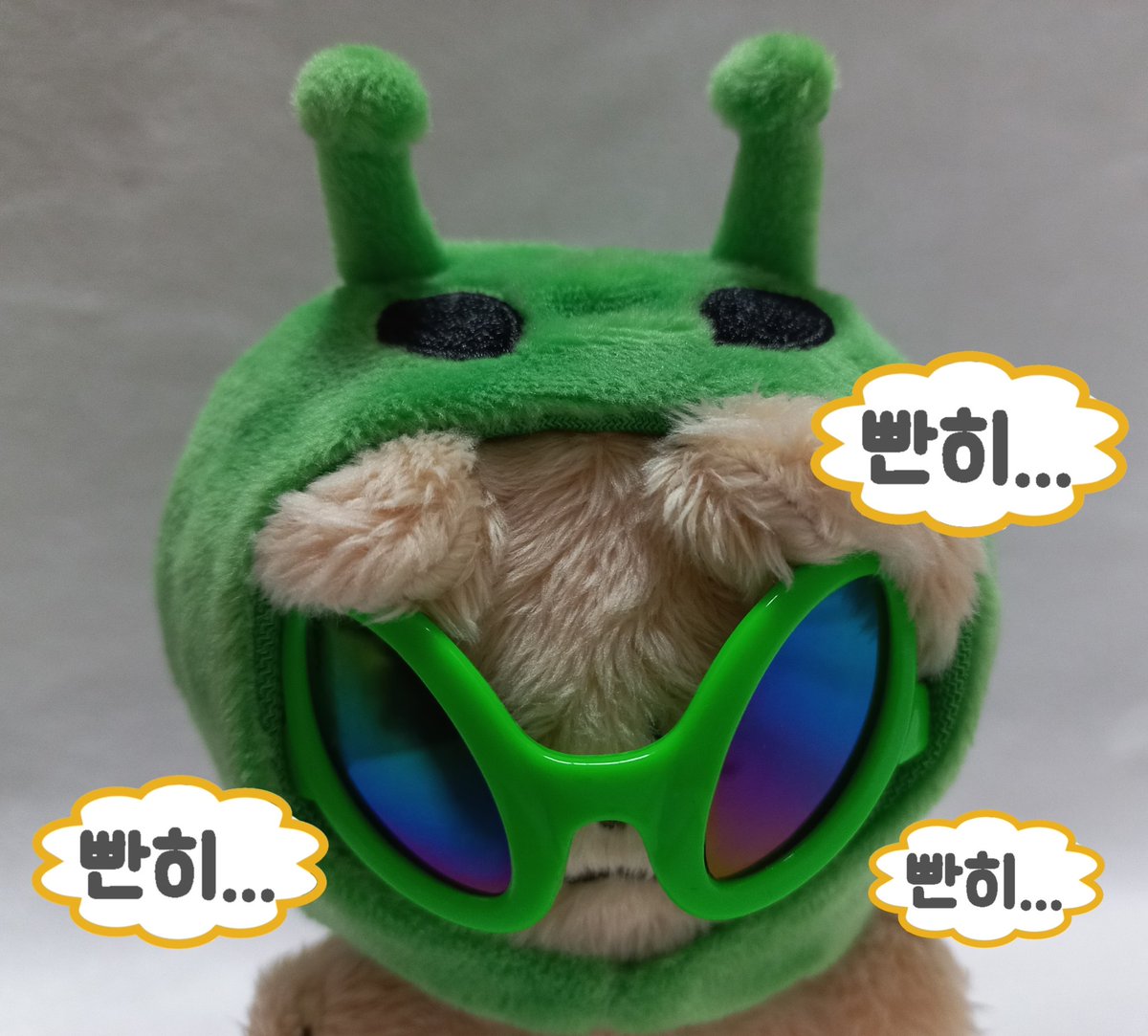 따끈따끈한 강아지 왔어용 
#오늘의_긍랑잉