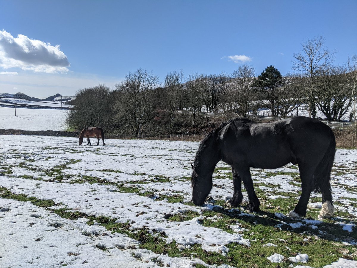 hazel_mount's tweet photo. Gorgeous sunny day here @hazel_mount in the snow 😍 #nofilter
@LakesCumbria @ShowcaseCumbria
@CumbriaWeather @WestTourism
@CumbriaCrack @cumbriapictures https://t.co/4dmcLa0n0q