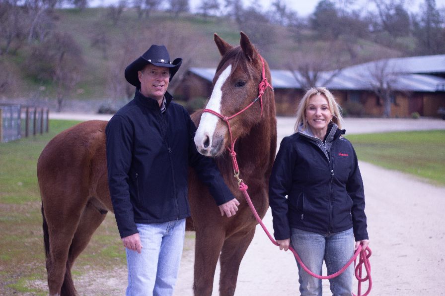 slohn's tweet image. 🐴 Weekly Scoop - - mailchi.mp/9c6991ecc579/w… Rescuing wild mustangs, Sweetbeau Horses.

#wildmustang #sweetbeauhorses #exploreslo #adoptblmustangs