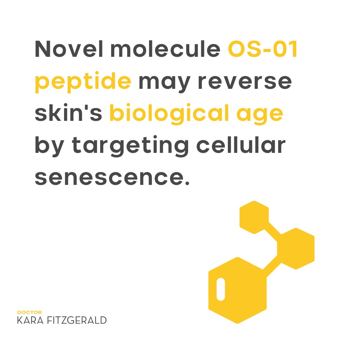 kfitzgeraldnd's tweet photo. Our skin is one of the first places we notice visible signs of aging. 

That’s why I’m excited to share this blog by OneSkin about OS-01, a new topical peptide that research suggests can reduce skin’s biological age.

https://t.co/YSm5UhrfrV 

#skinhealth #bioage #longevity https://t.co/MAbuMMGK6E