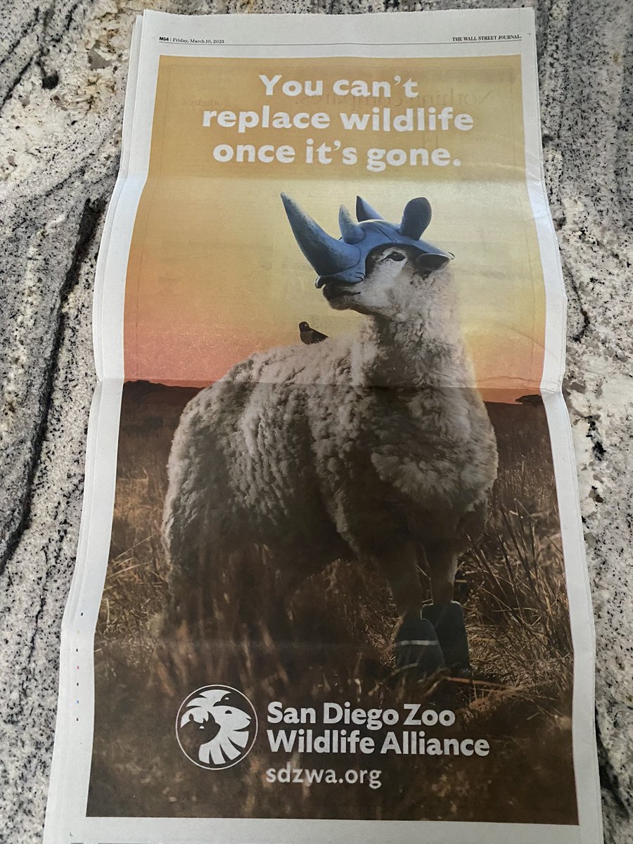Love seeing <a href="/sandiegozoo/">San Diego Zoo Wildlife Alliance</a> on the back cover of the <a href="/WSJ/">The Wall Street Journal</a> today!