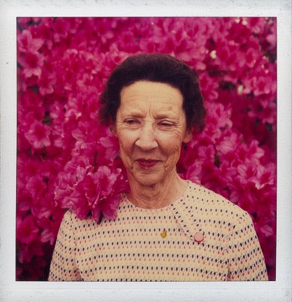 BitterSouth's tweet photo. About this time every year, across the South, those show off-y azaleas start to do their thing. And since the dawn of time it seems, we’ve been parading ourselves out in front of them to have our photos made. These images were taken by Rick Olivier in Acadiana LA, in 1979. https://t.co/B79PeBASBO