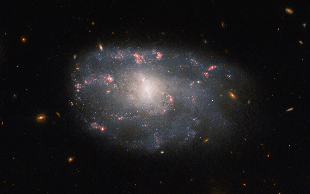 Espacio140's tweet photo. Imagen del Día de la @NASA: "Hubble Spots a Star-Forming Spiral" - https://t.co/sATk2PpS7J https://t.co/h93wxPMH2Q