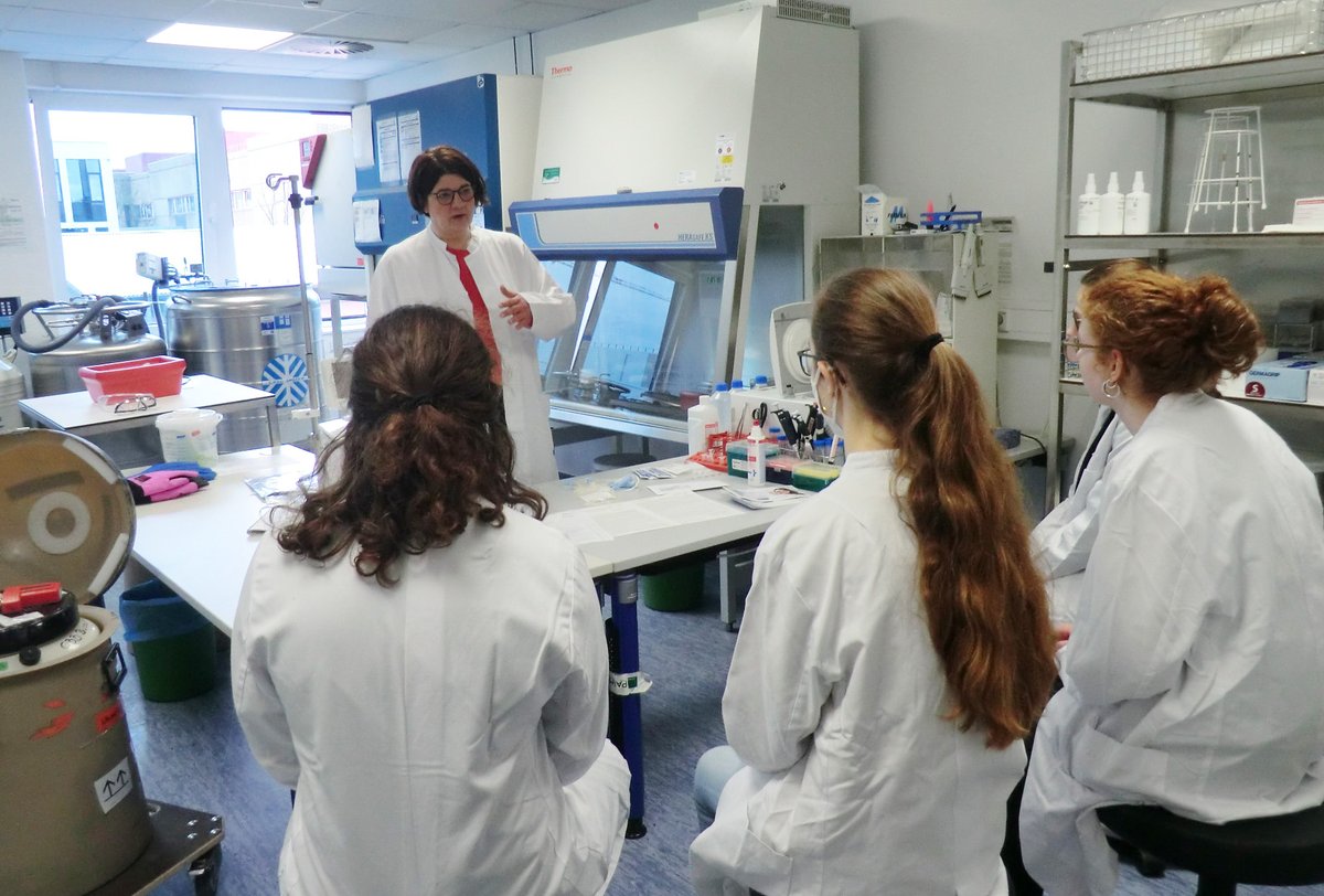 UniklinikDUS's tweet photo. Zum #UniStemDay bietet das Institut für Transplantationsdiagnostik und Zelltherapeutika jedes Jahr einer Schülergruppe einen Einblick in die Stammzellenforschung. Auch heute... #unistem2023 #unistem Weitere Angebote am UKD gab es zum Beispiel auch in Urologie und Kinderklinik. https://t.co/fTOfu80wTS