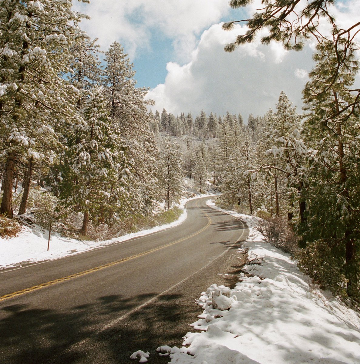 JAMESPIPERPHOTO's tweet photo. Yosemite on 35mm https://t.co/YYIaQGoW4s
