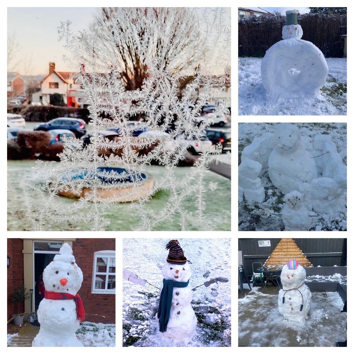 SJPHeadteacher's tweet photo. What wonderful fun has been had by our students this morning! We have loved seeing your photography skills and the making skills recorded today! Donuts, landscapes, siblings, friends, dogs, Snow bears and frozen cobwebs. You have made all of us smile, hope you had loads of fun! https://t.co/ew36CShGDB
