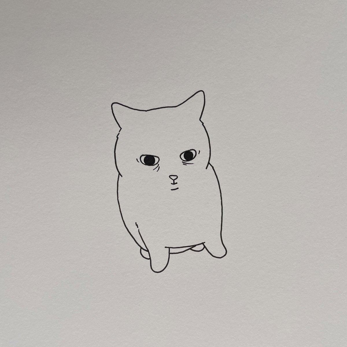 poorly drawn cats tweet media