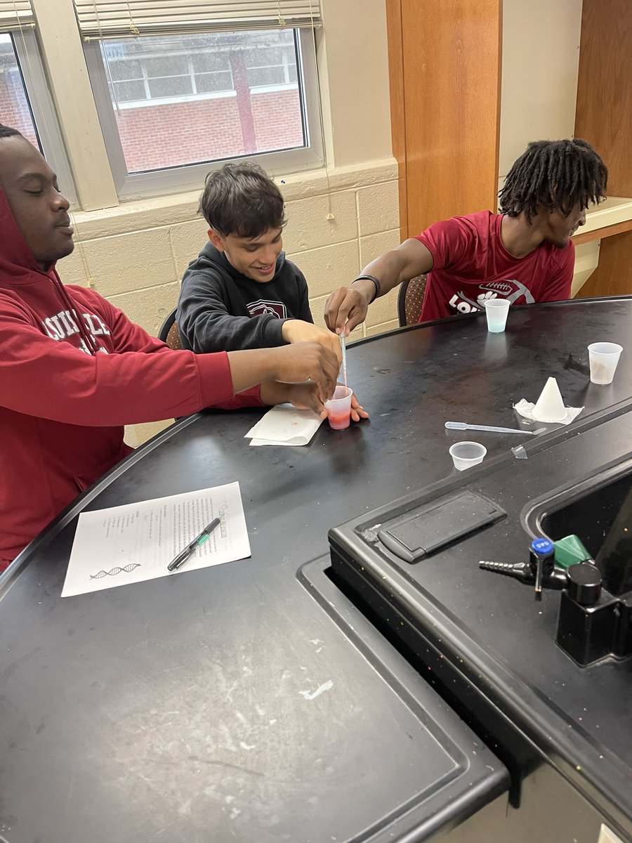 Louisville High School tweet media