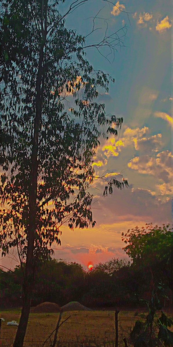 mr_Prem__45's tweet photo. ❣️🌞“When the sun is setting, leave whatever you are doing and watch it."😇❤️

Beautiful sunset 😇❤️

 #sunset❤️❣️ https://t.co/GJu23sfYLs