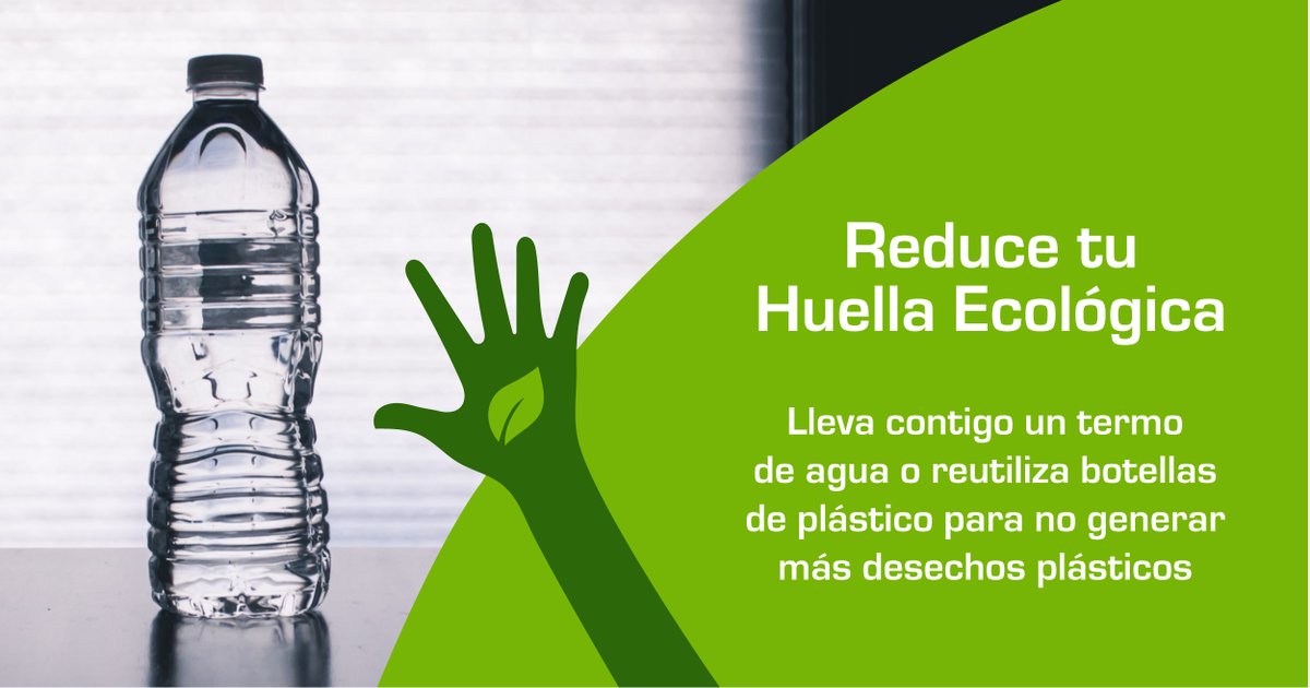 fospuca's tweet image. 💚 #TipVerde Si vas a salir, lleva contigo un termo de agua o reutiliza botellas de plástico, para no generar más desechos plásticos y reduce tu #HuellaEcológica. 

Son detalles pequeños que marcan la diferencia 🌎
