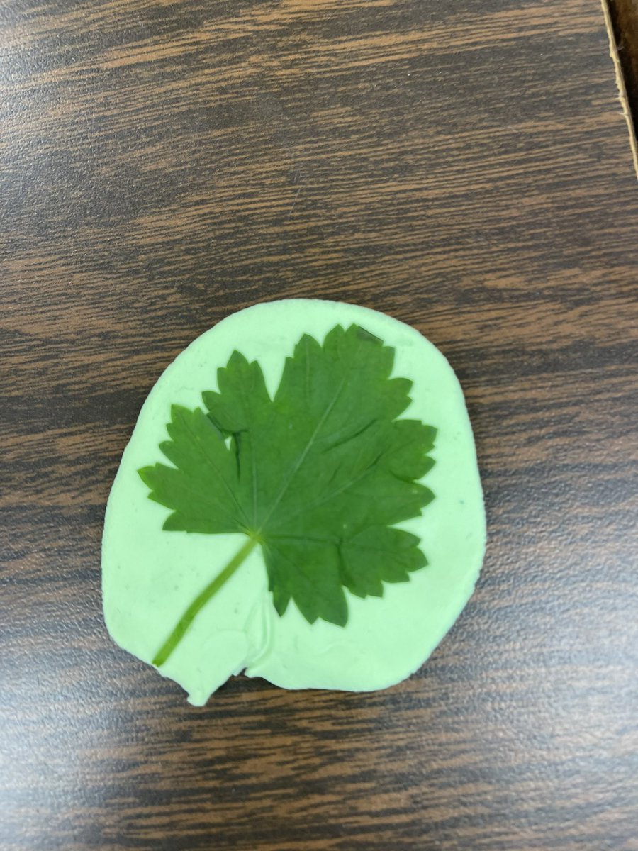 IsabelD2809's tweet photo. Learning about impressions @GoodmanES_AISD https://t.co/IkaeHOPHmd