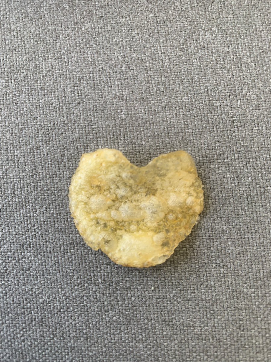 Carly Tooke tweet media