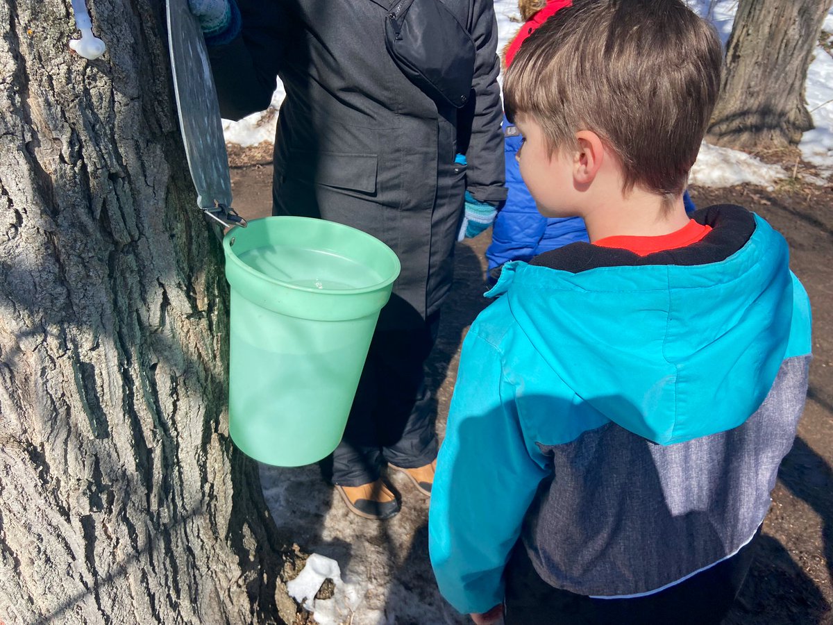 Melissa Jane Howell tweet media