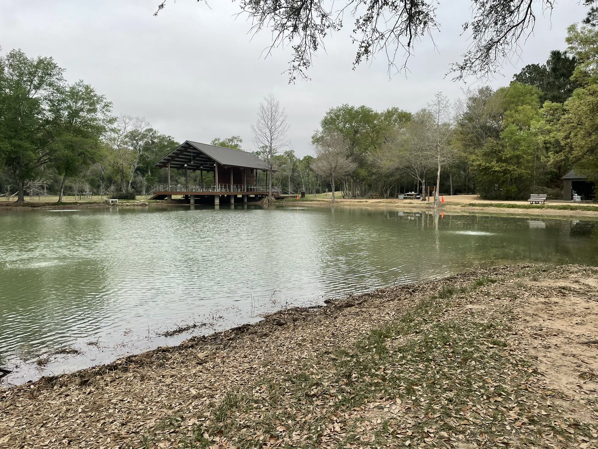 Ready to teach students how to determine if a pond is polluted or not by seeing what living creatures are present!  <a href="/katyisd/">Katy ISD</a>