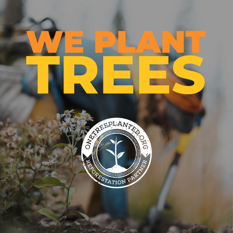 Thanks to our awesome subscribers, we at @TeachingLive just planted our 500th tree via our partnership with @onetreeplanted teachinglive.net/one-tree-plant…