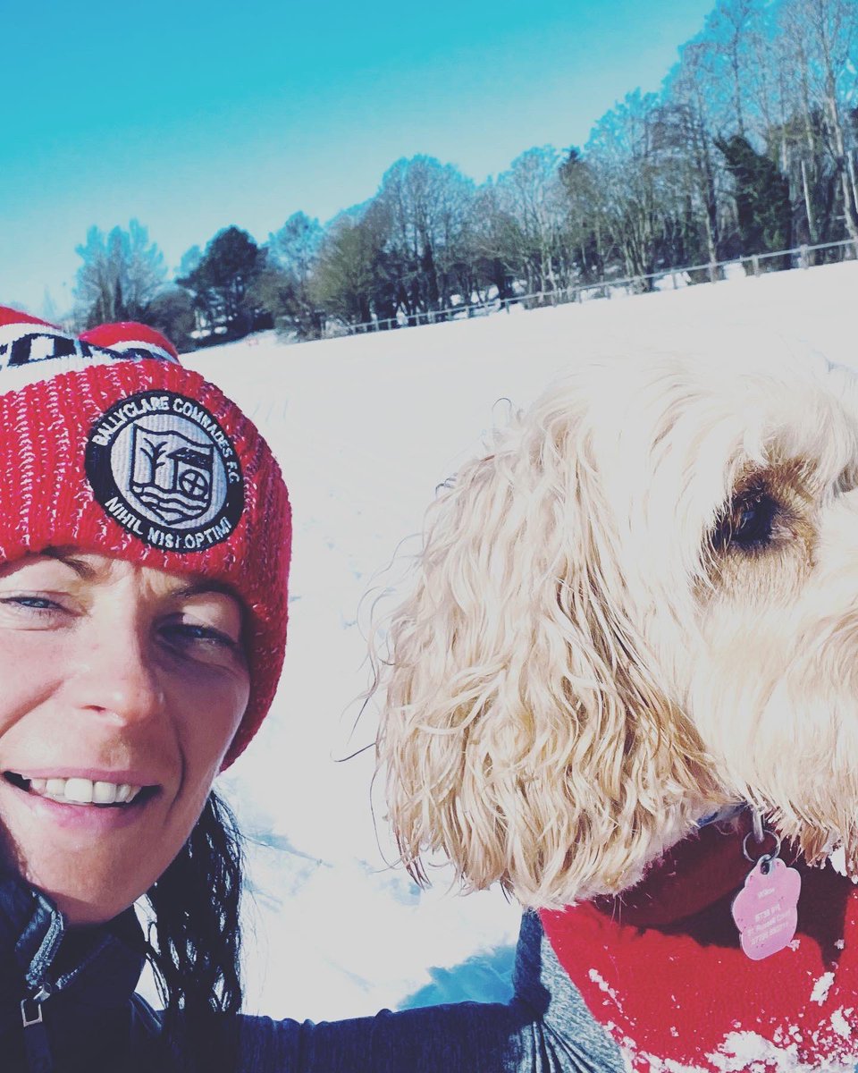 ZoeTisdale's tweet image. Got to love a Friday snow day! ❄️❄️🐶🐾🌨️ #snowdog #snowsnowsnow #snowdayfriday