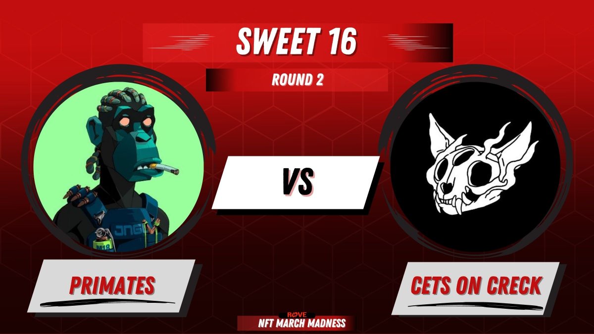 Rove_Inc's tweet photo. Round 2: @Primatesnft vs @CetsOnCreck 

The community with the most comments clearly casting a vote below this tweet by Saturday, March 11th 10am EST moves to the next round happening this Monday. 

Overall winner wins a FULLY SPONSORED EVENT for their community in 2023 https://t.co/dsbUHLHTol