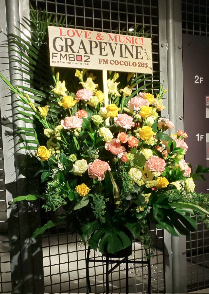 MMoriKunn_81's tweet photo. GRAPEVINEありがとうございましたー!
1年ぶりに見れて幸せでした!
#GRAPEVINE
#inalifetime https://t.co/NCvTBM5q7G