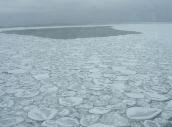 NSIDC's tweet photo. Have you heard of pancake ice? It may sound appetizing, but only if you like eating circular pieces of ice up to 4 inches thick. Pancake ice is formed when other types of ice, like grease ice, freeze together. Learn more: https://t.co/hKgvqIfEMv Photo credit: NOAA. https://t.co/RY9OpAyfP9