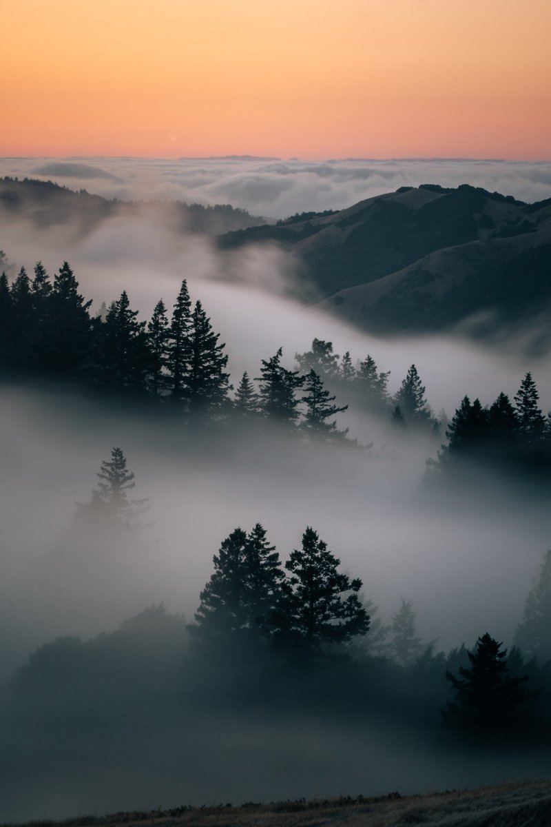 escape2unknown's tweet image. Foggy mountains ✨️

• 📸 by -  sakie.visuals

• follow for daily travel inspiration ✨️
  
• visit my travel blog 🎒 - link in bio ☝️

#Travel #travelphotography #mountains #mountainsview #foggymountains #sunrise