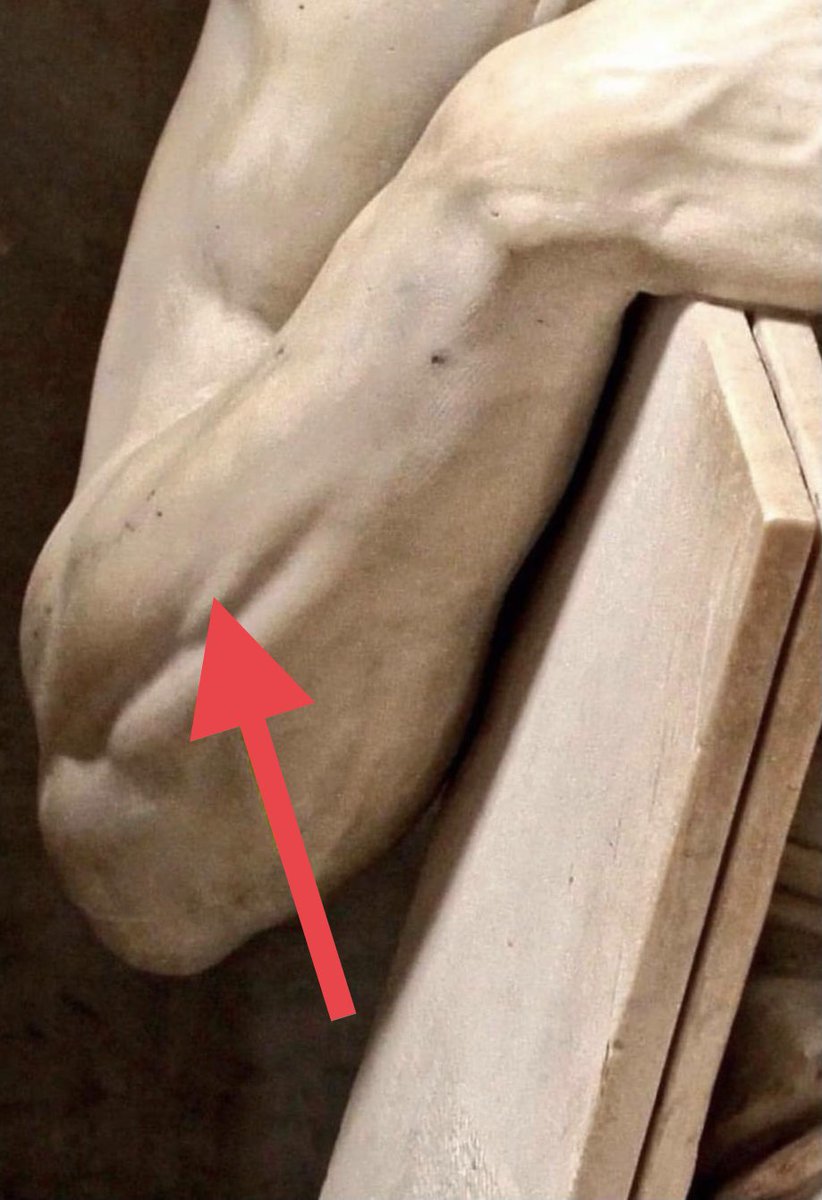 O “Moisés” de Michelangelo, 1513

Temos um minúsculo músculo em nossos antebraços que se contrai apenas quando o dedo mindinho é levantado; caso contrário, ele é invisível. O dedo mindinho de Moisés está levantado, portanto o músculo está contraído e visível.