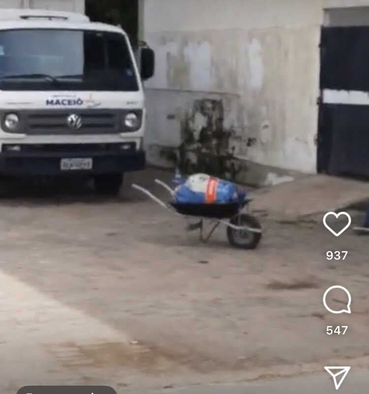 ProjetoMiaCasa's tweet photo. um cachorro idoso chamado apolo fugiu de sua casa por um problema no portão e o controle de zoonoses de maceió recolheu ele e fez EUTANÁSIA em menos de 72 horas sem nem procurarem saber se tinha dono! devolveram ele em um SACO DE RAÇÃO pro tutor que tá desesperado! https://t.co/NXvBSMnx8Q