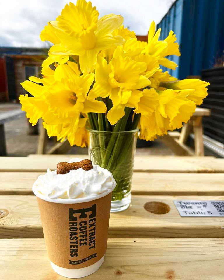 Get down to Twenty Six Cardiff and treat your dog to a Puppuccino! Topped with our very own pale ale dog biscuits. ☕️🦴
This new venue is located right next to the bakery. Check them out for great coffee, brunch, street food, drinks and dog treats!