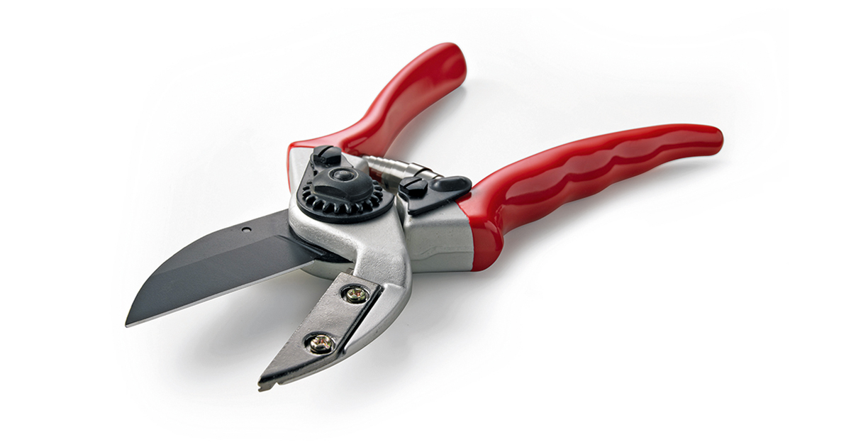 DarlacGardening's tweet photo. Our award-winning Darlac Expert Anvil Pruners are great for coping with tougher pruning tasks due to their carbon steel blades.
Order direct from our website, or pick up a pair in a garden centre near you ✂️
https://t.co/e8kYm5erEb
#gardenlife #pruningtime #darlac https://t.co/8rvHgk63ys