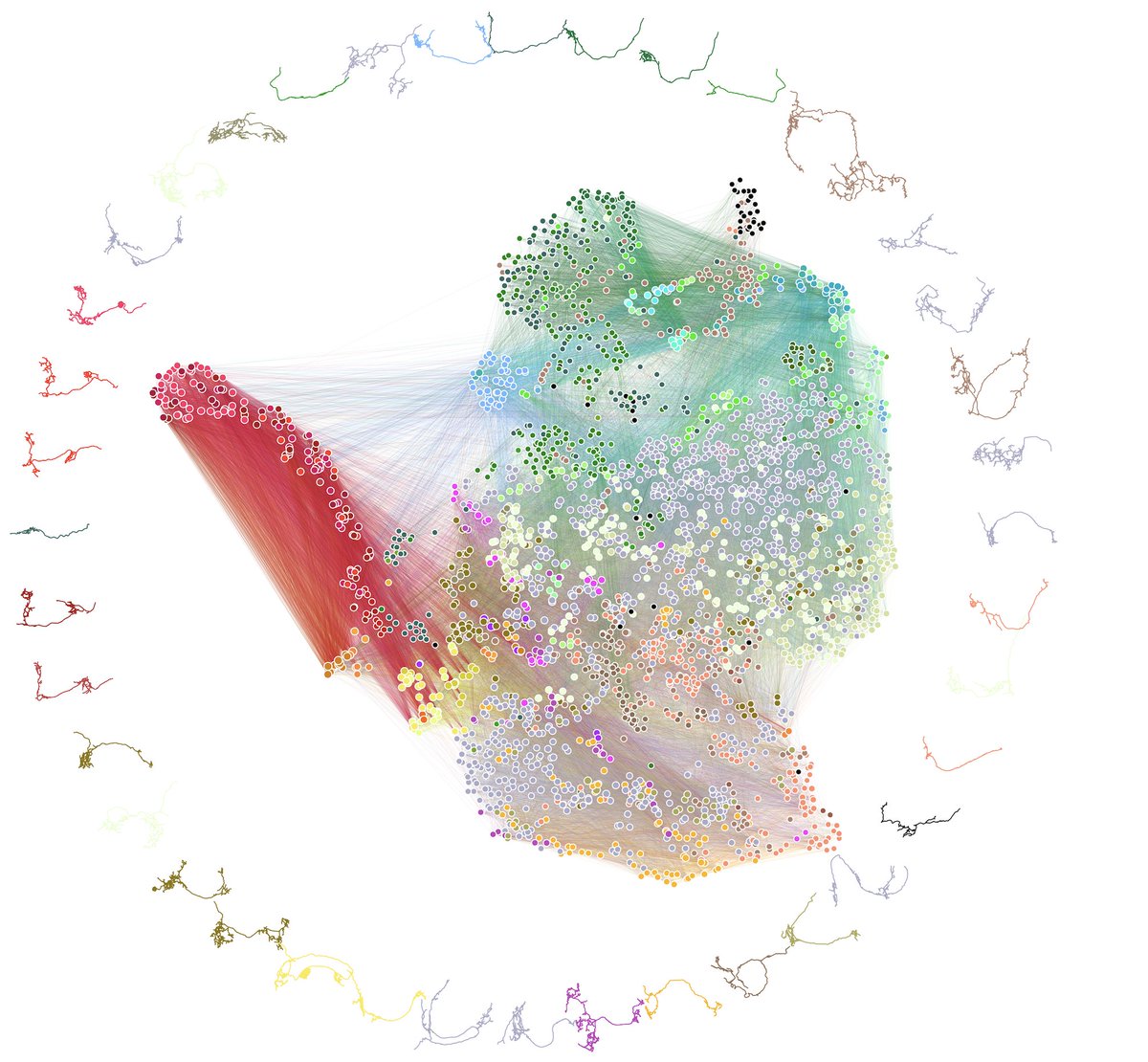 Our work studying the connectome of an insect brain, that of a Drosophila larva, is out today in Science! science.org/doi/10.1126/sc… Some highlights below and in <a href="/WindingMichael/">Michael Winding</a>’s thread. Work with <a href="/neuro_data/">NeuroData Lab</a>, Carey Priebe, <a href="/albertcardona/">Albert Cardona @albertcardona@mathstodon.xyz</a>, <a href="/ZlaticLab/">Zlatic Lab</a>, and many others.