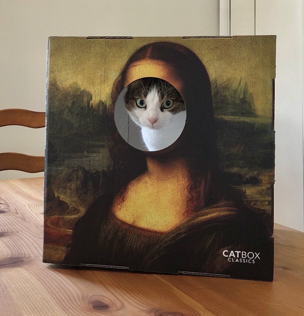 catorcatcom's tweet image. Furry Masterpieces Cat House with Scratcher

bit.ly/3fkpyok