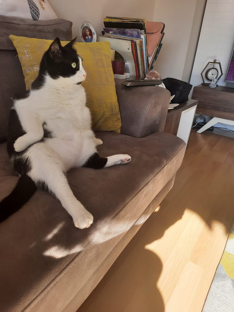 <a href="/ParlaCalico/">Parla van Calico 🌸</a> HFJDJDJDJK O ZAMAN EFSANE FOTOLARINI SALALIM DNMDMD